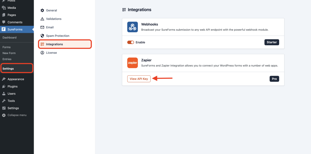 view API key
